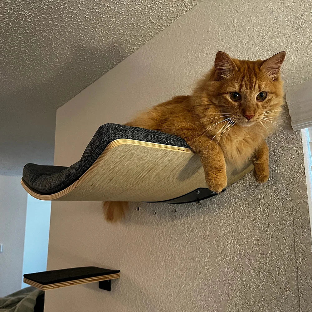Wall Mounted Cat Shelf Bed with Soft Cushion Cat Perch Indoor Cat Furniture for Kittens & Adult Cats Climbing Sleeping & Playing